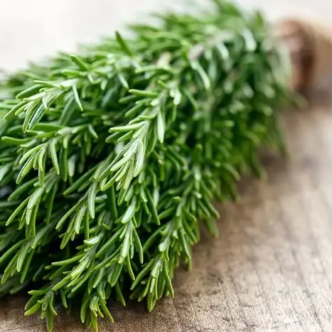 Beyin için şifalı bitkiler Resim