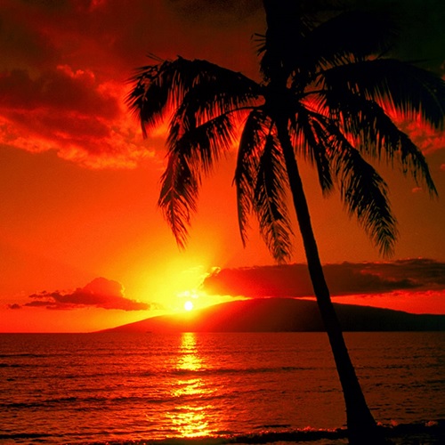 Güneş neden batarken kırmızı görünür?