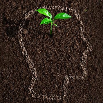 Niye Niçin Allah İnsanı Yarattı