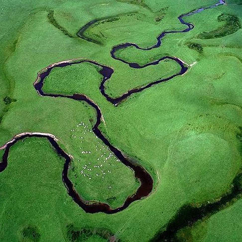 Niye Niçin Nehirler Kıvrılarak Akar