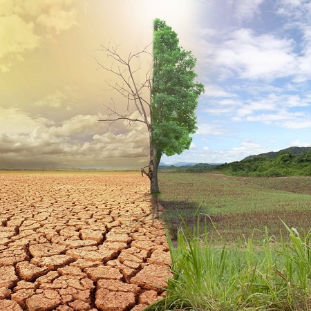 Kuraklık Oluşur Sebebi Nedir