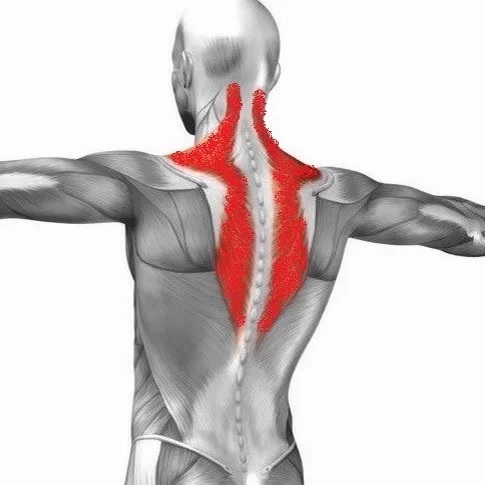 Vücudumdaki Ağrılar Başlar Sebebi Nedir